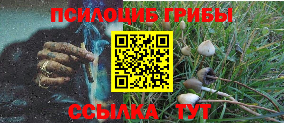 Псилоцибиновые грибы Cubensis  Вход с VPN  Лыткарино  Псилоцибиновые грибы Psilocybe 